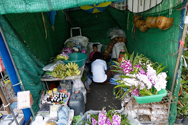 Talin chan-NOV13-001